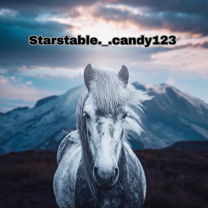 @starstable._.candy123 - 🐴Horses🐴