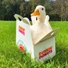 dunkin.ducks