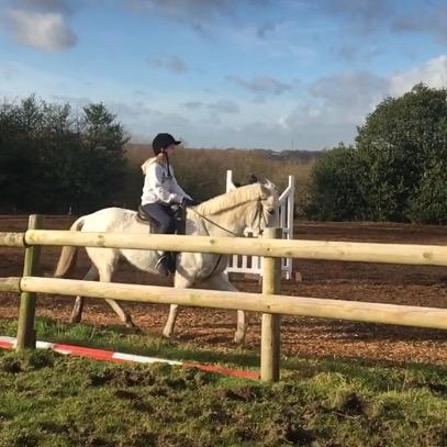 @equine..maisie - 🐴 horses