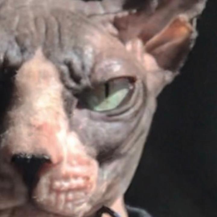 @vladsphynx