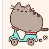 pusheen__0099