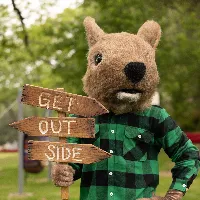 @campfimfo @campfimfo