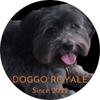 doggo_royale