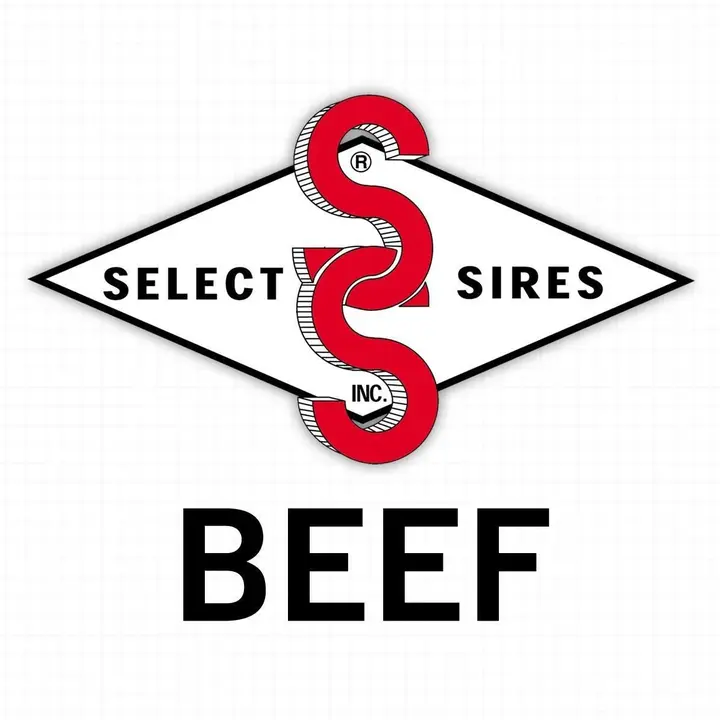 🦄 @selectsiresbeef - Select Sires Beef - TikTok