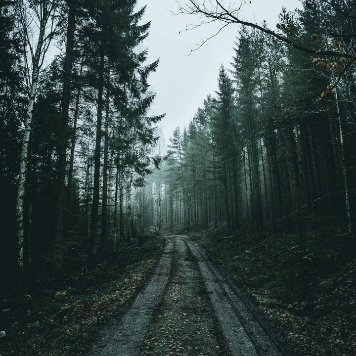@_musiclyricss_