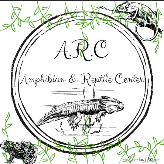 🦄 @amphibianreptilecenter - Amphibian Reptile Center - TikTok