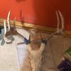 huskers_huntandfish