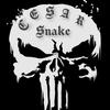 snake22480