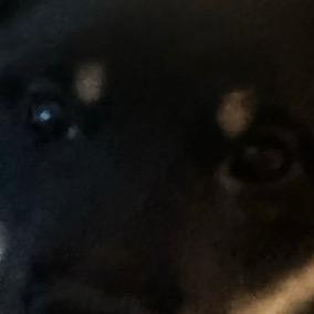 🦄 @swagbabydiakimeko - dia kimeko - TikTok