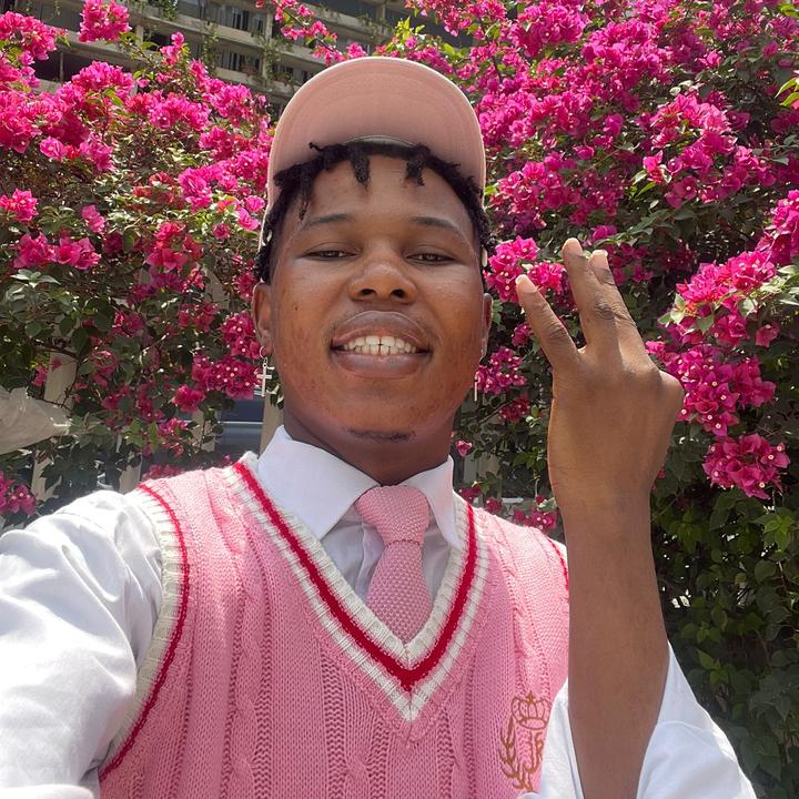 🦄 official_shoday SHODAY TikTok