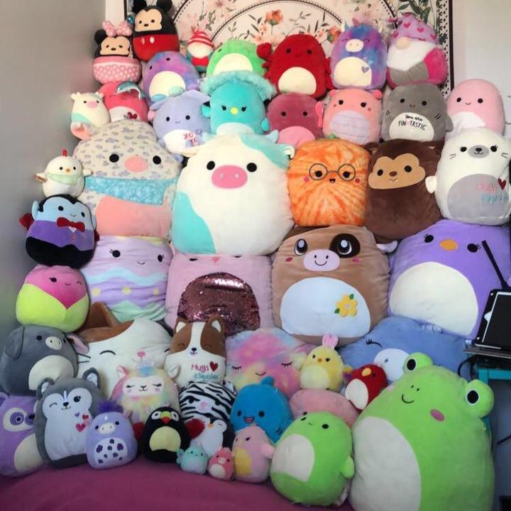 🦄 @squishmallow_fambam - Squishmallow Family - TikTok