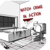 watchcrimeinaction