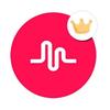 musicalycrownmeup