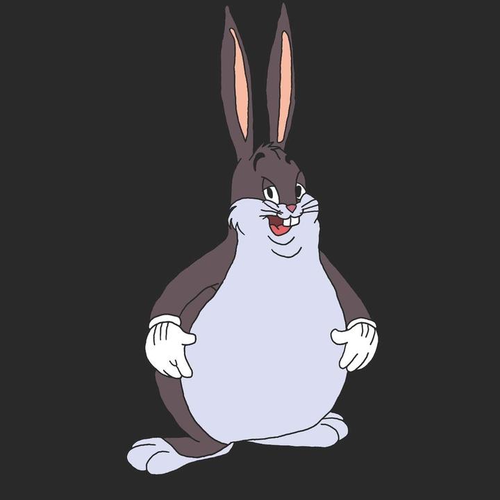 @bigchungus.official69