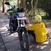 ricianggara272