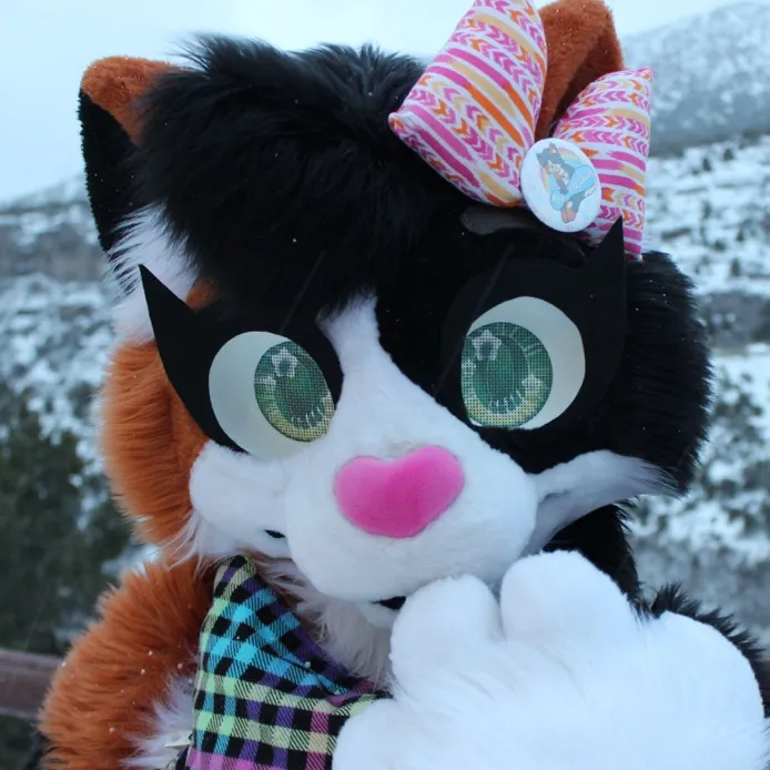 felixthecalico