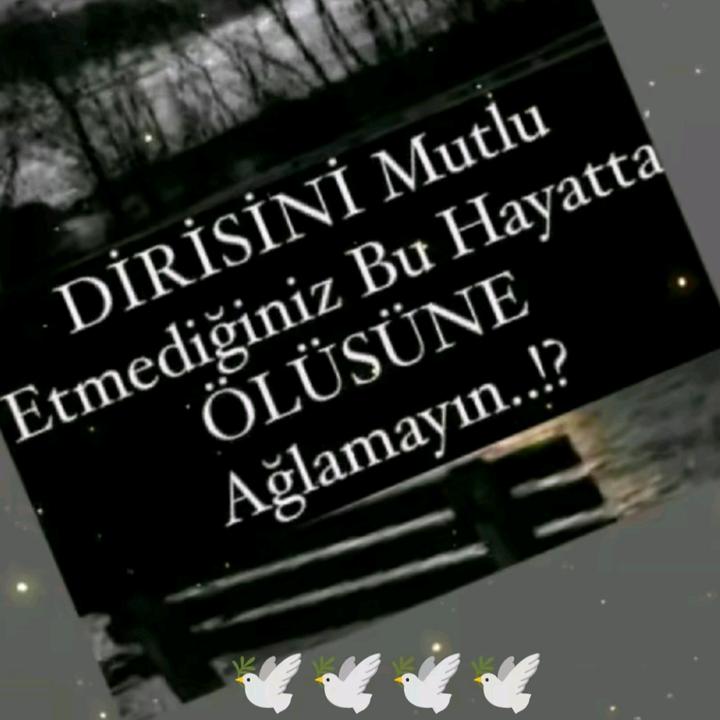 @yalcinkaya01