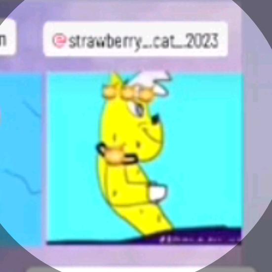 @blue_cat_friendbest