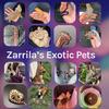 zarrilasexoticpets