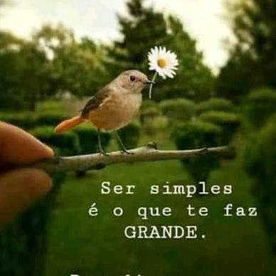@palavrasquemotivam13