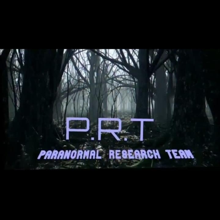 prt-official-prt-official2022-tiktok