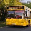 bus.transport551