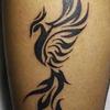 taye853