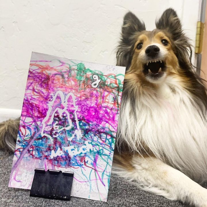 made_by_dog