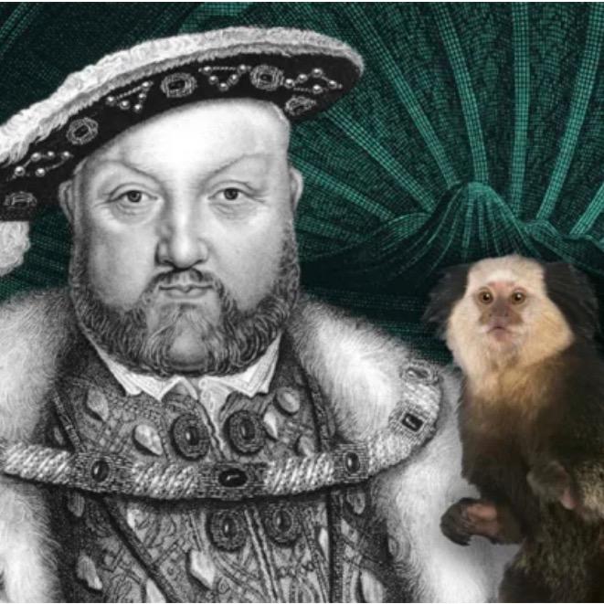 🦄 @crazyhistoryfacts - Crazy History Facts - TikTok