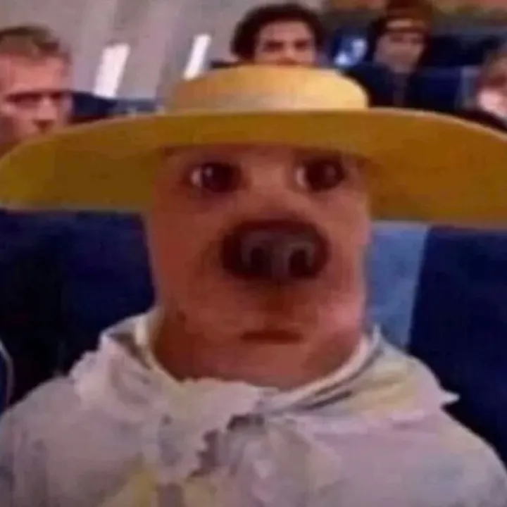 meekaiale