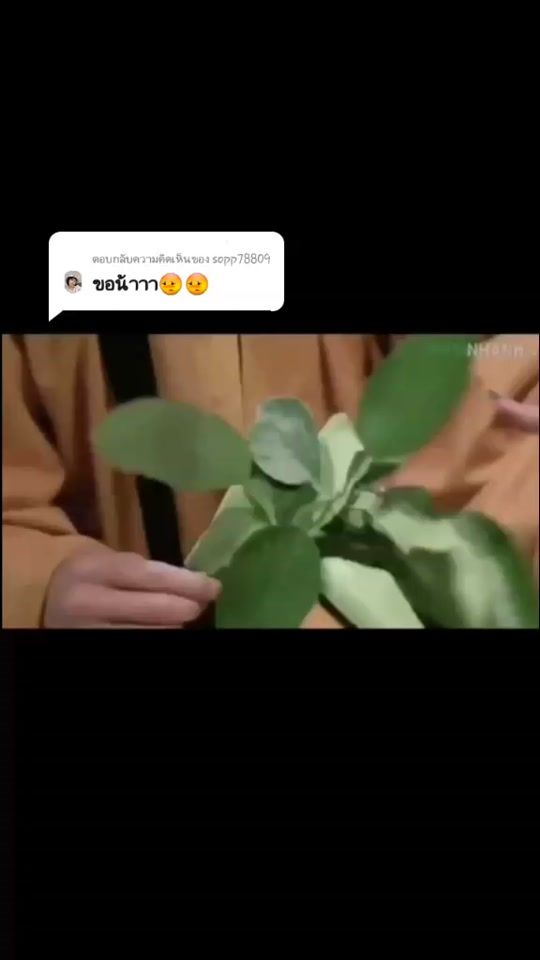 TikTok video thumbnail by inxee55041754