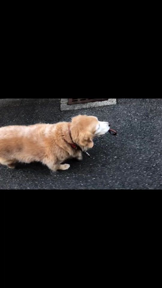 TikTok video thumbnail by yuya4four