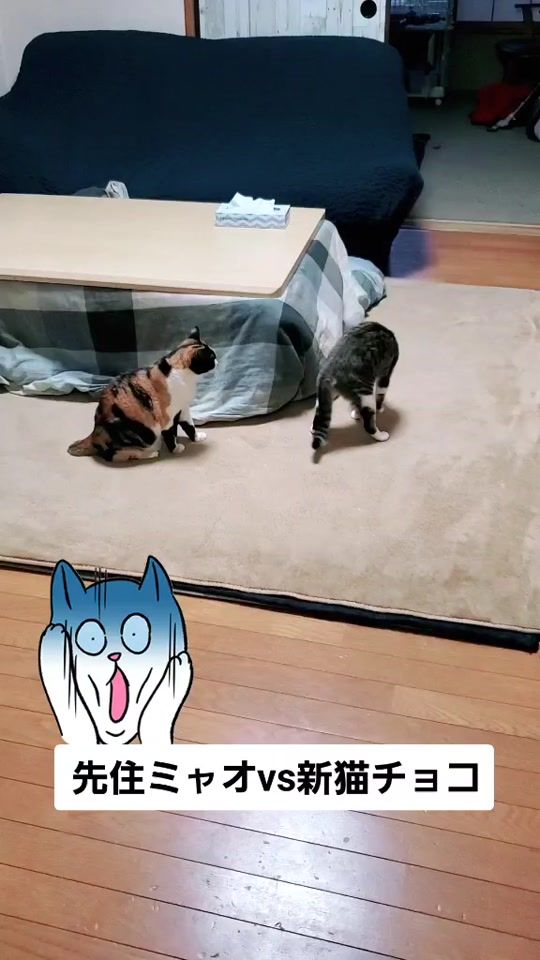 TikTok video thumbnail by user1115986931983