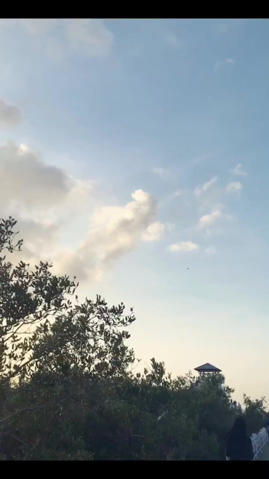 TikTok video thumbnail by _sqmsee_