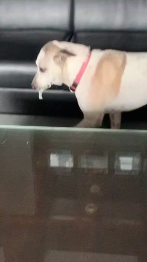 TikTok video thumbnail by khaotu_tuayfoo
