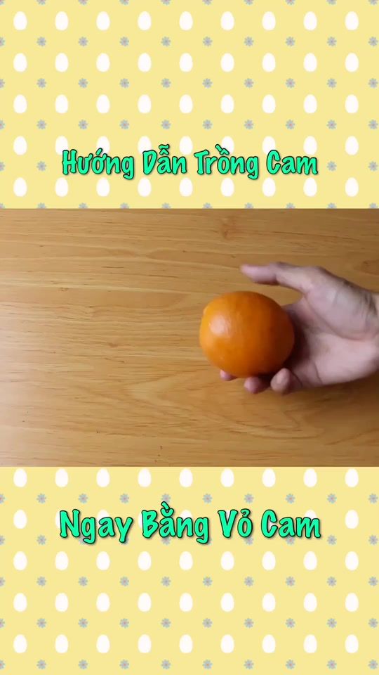 TikTok video thumbnail by bacthaybikip