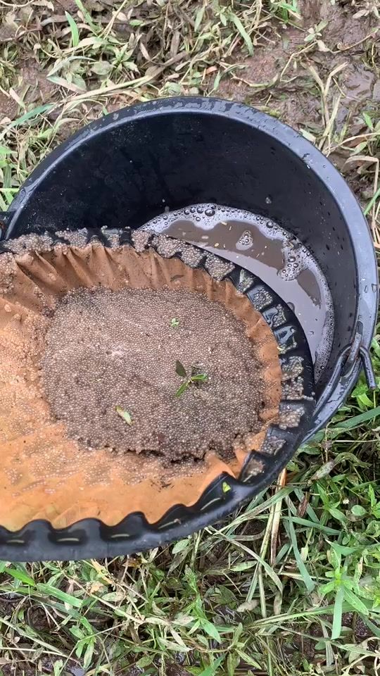 TikTok video thumbnail by drimdimdream