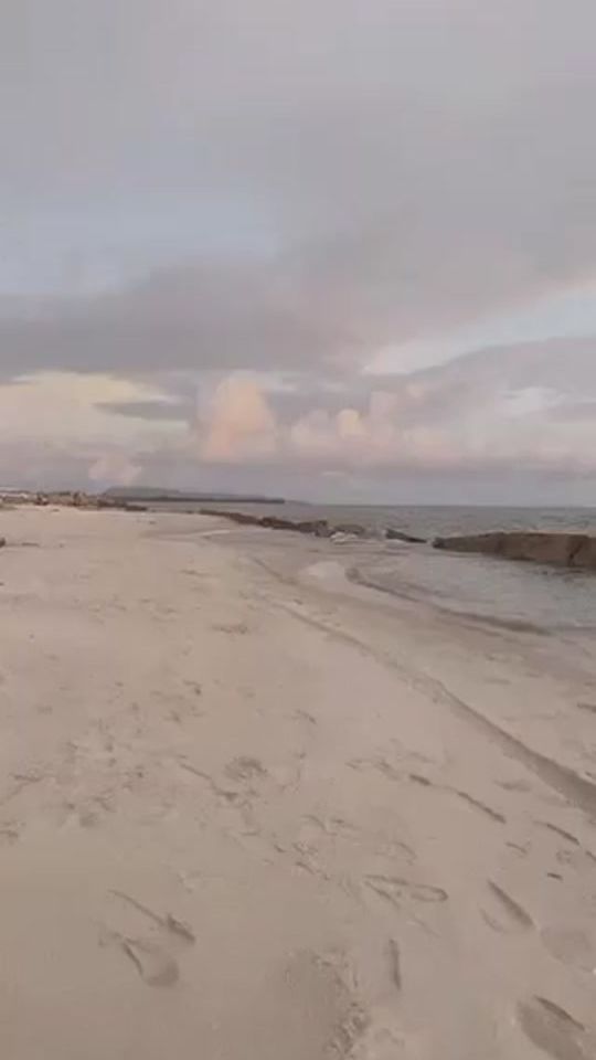 TikTok video thumbnail by user78561702