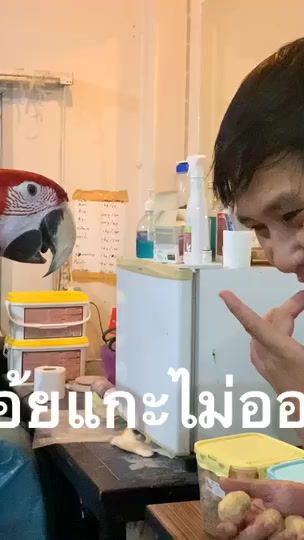 TikTok video thumbnail by artworkchannel