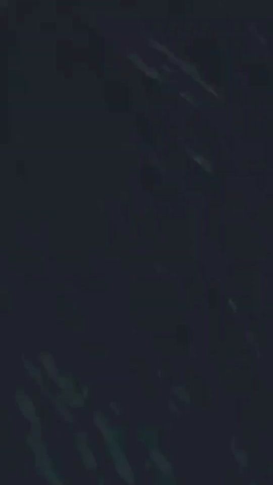 TikTok video thumbnail by .sofia1502