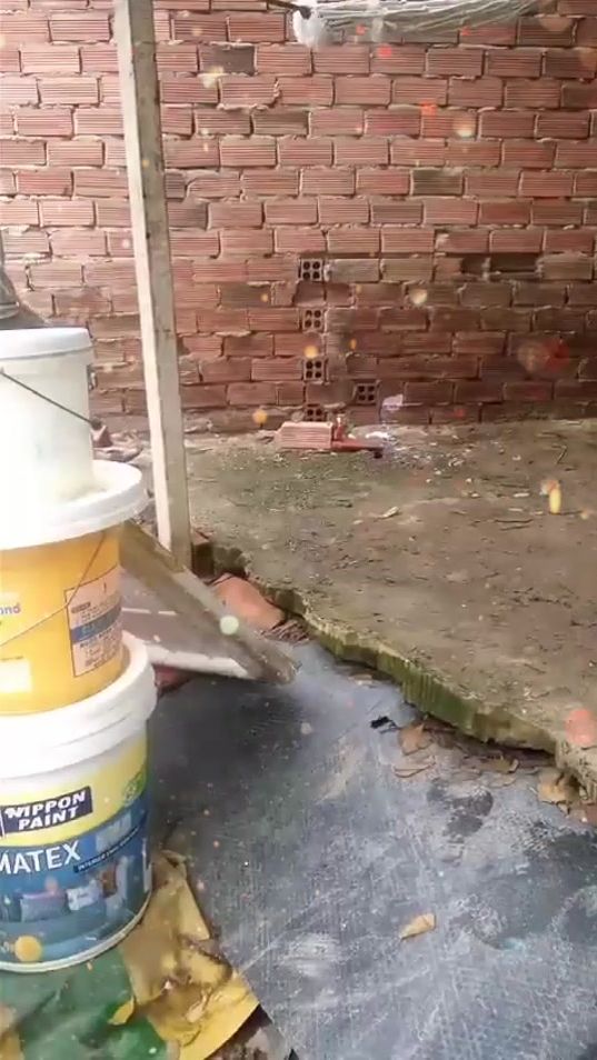 TikTok video thumbnail by user115981758413