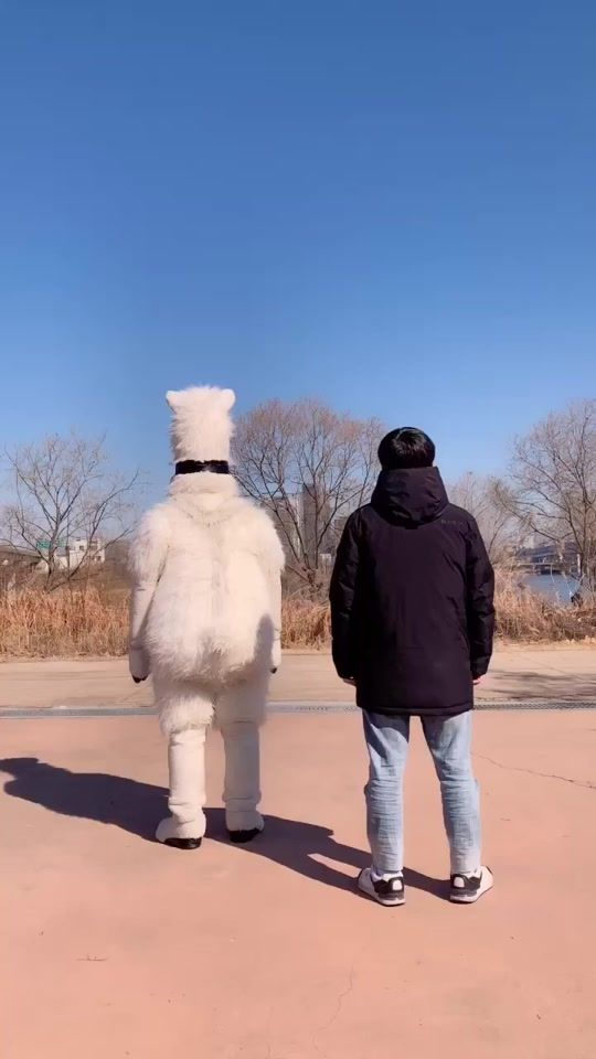 TikTok video thumbnail by inssa_rama