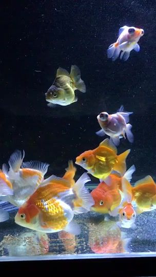 TikTok video thumbnail by game897