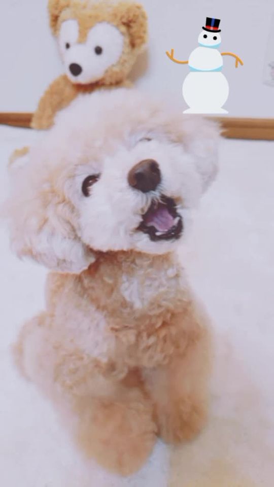 TikTok video thumbnail by priffey32