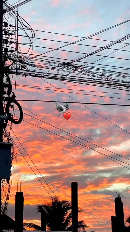 TikTok video thumbnail by ak.fai_07