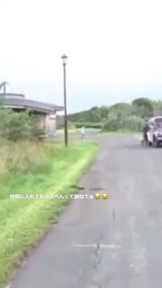TikTok video thumbnail by mt.05090613