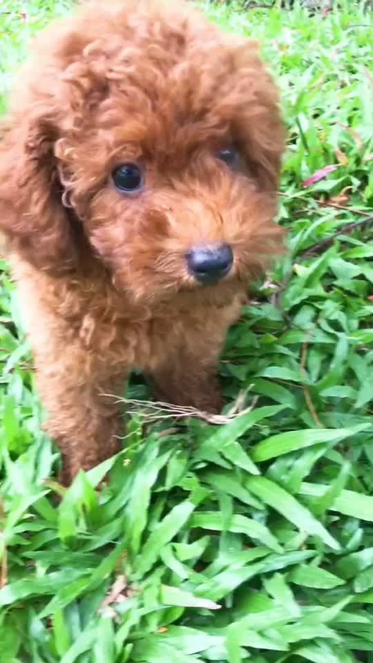 TikTok video thumbnail by sun21129x