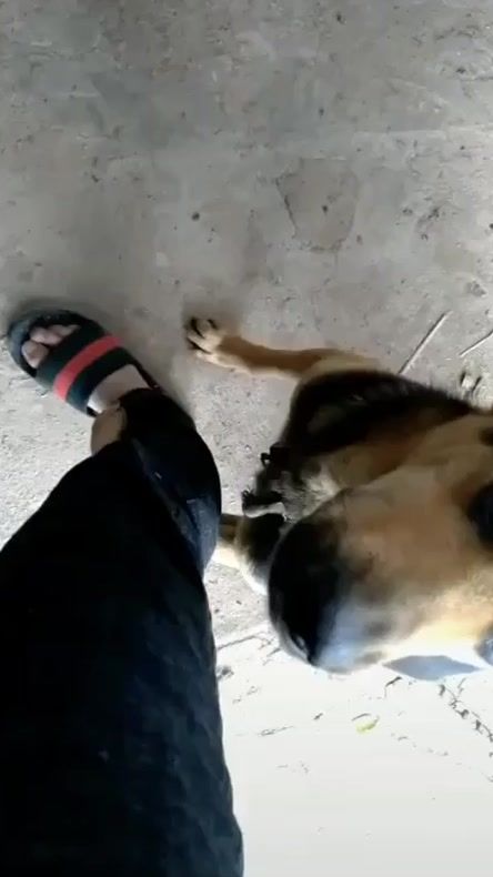 TikTok video thumbnail by nlyn269