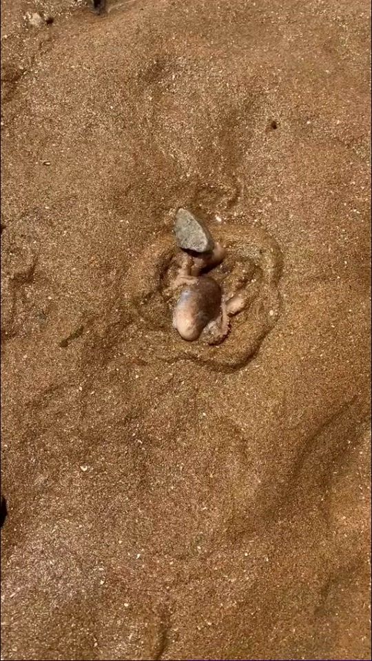 TikTok video thumbnail by yeubien