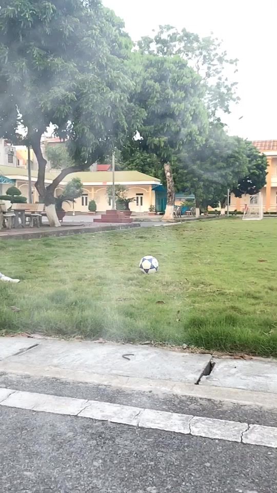 TikTok video thumbnail by lethanhdai2